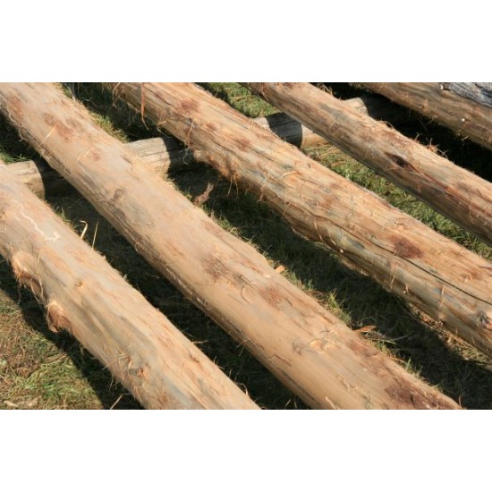 Cedar post - heated and bark removed